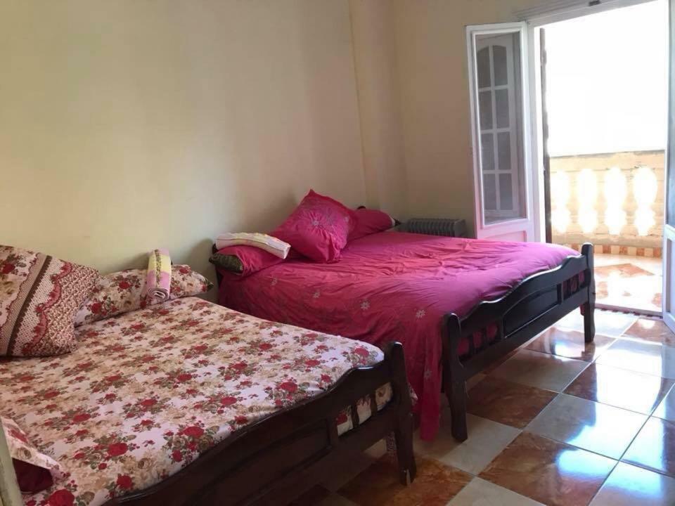 Cozy New 2 Bd Amazing Beach View Next To Hilton Hotel Family Only !العائلات فقط Alexandrie Exteriér fotografie